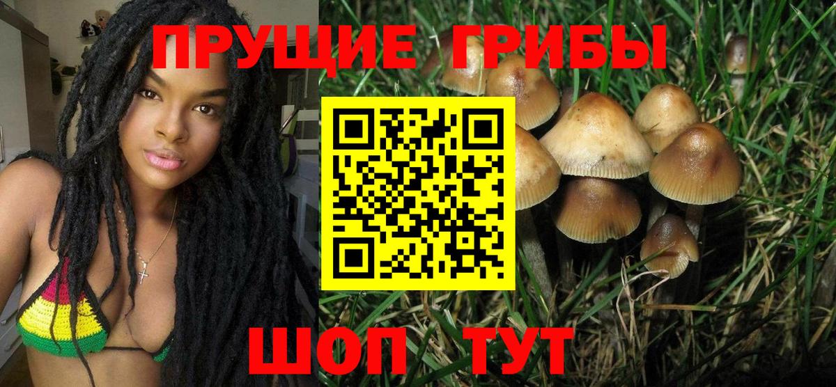 Псилоцибиновые грибы ЛСД  Вход с VPN  Вязьма 